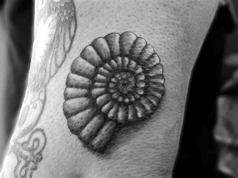 ammonite fossil tattoo